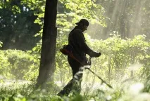 Чому москвичі виявилися не готовими до шквального вітру і хто за це відповість Суспільство Україна чому