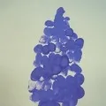 заняття