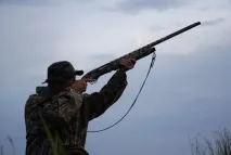 Полювання на качок, все про полювання з відео відео
