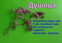 букет пано