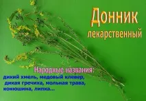 букет пано