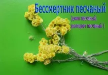 букет пано