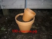 своїми