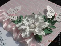 country gardenia