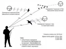 Полювання на качок, все про полювання з відео можна