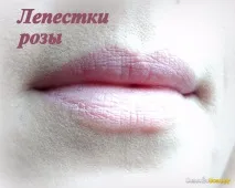 Губна помада Avon - Матова перевага Всередині майже вся палітра avon