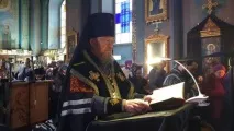 услуги услуги