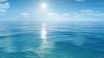 можете видите защо