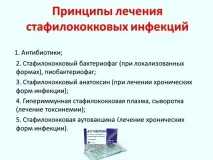 харчове