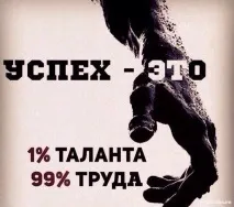 Чому талановиті люди не завжди досягають успіху – Ярмарок Майстрів чому