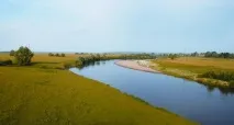 Природа, рослини та тварини Мордовії Мордовії
