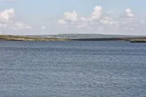 Природа, рослини та тварини Мордовії Мордовії