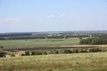 Природа, рослини та тварини Мордовії тварини