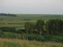 Природа, рослини та тварини Мордовії рослини