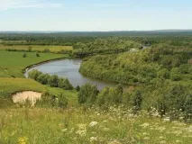 Природа, рослини та тварини Мордовії природа