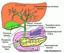 традиционна
