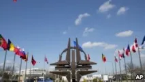 П’ять головних українських міфів про НАТО українських