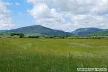 крим флора