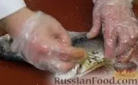 Рецепт Риба дорадо, запечена в солі, з овочевим гарніром запечена