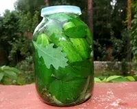 снимки снимки