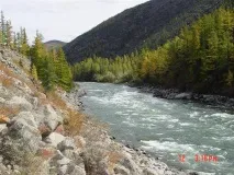 планинските планинските