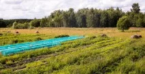 епруветка градина