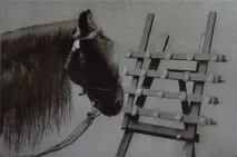 коні