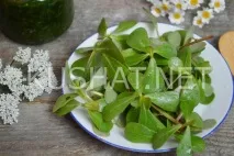 консервирана царевица салата