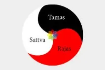Саттвічна їжа Саттвічна