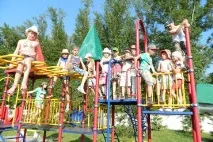 цени лилия