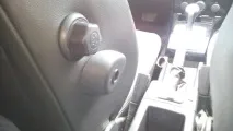 стандартна добре хранено