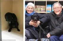 сила