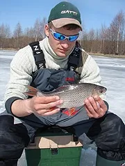 сорога