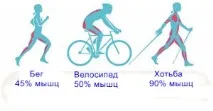 Скандинавська ходьба протипоказання скандинавська