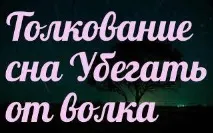 тълкуване тълкуване