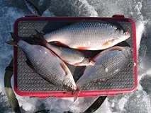 горе-моря