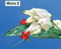 цветя цветя