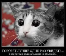 Сенс слова РІЗАТИ різати