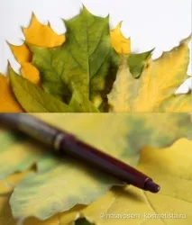 устните устните