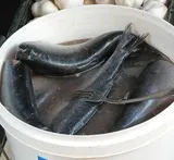 осоляване солен разтвор