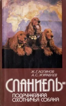 loginov шпаньоли