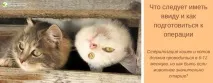 клиника статии