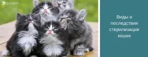 статии клиника