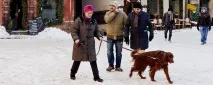 транспорта навици