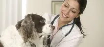 статии клиника