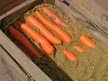 зберігання