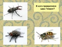За слідами казок А казок