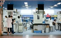 Стовбурові клітини кому це потрібно, Публікації, Навколо Світу навколо