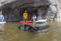 SUP-ПОХІД З РІЧКИ ЮРЮЗАНЬ ФОТОЗВІТ sup-похід
