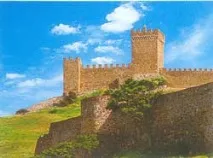 судак судак
